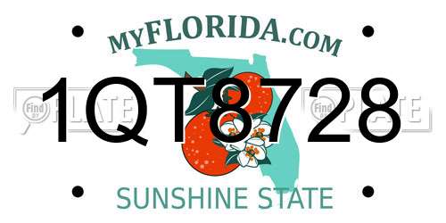 1QT8728 Florida License Plate