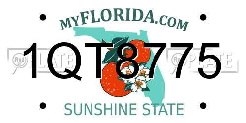 1QT8775 Florida License Plate