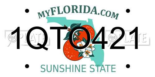 1QTO421 Florida License Plate