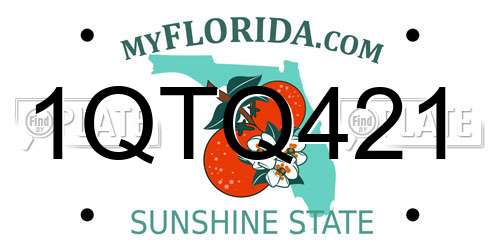 1QTQ421 Florida License Plate