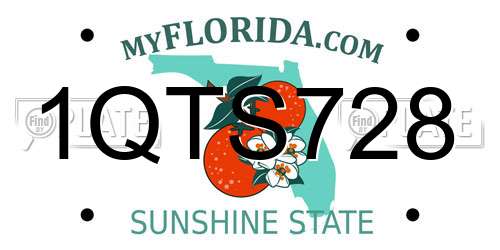 1QTS728 Florida License Plate