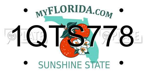 1QTS778 Florida License Plate