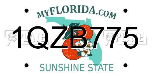 1QZB775 Florida License Plate
