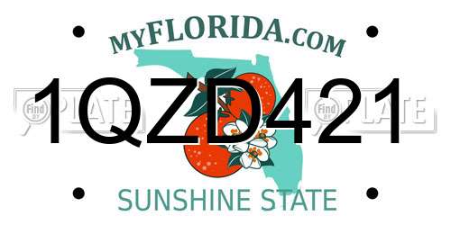 1QZD421 Florida License Plate