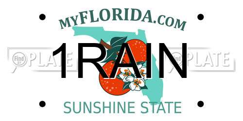 1RAIN Florida License Plate