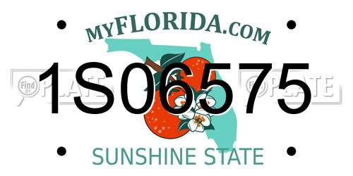 1S06575 Florida License Plate