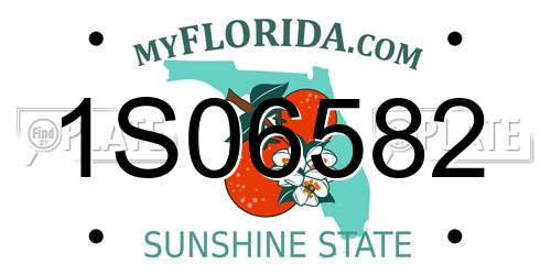 1S06582 Florida License Plate