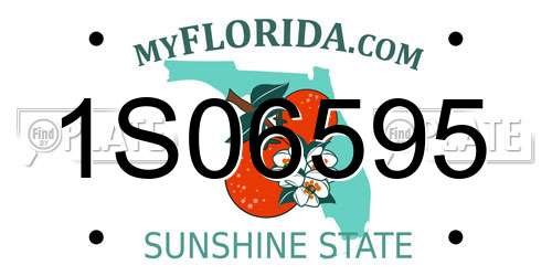 1S06595 Florida License Plate
