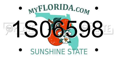 1S06598 Florida License Plate
