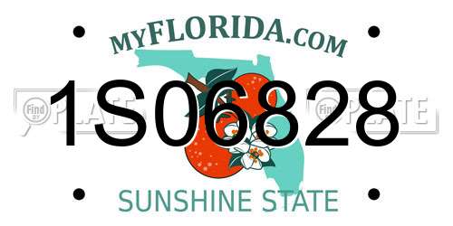 1S06828 Florida License Plate