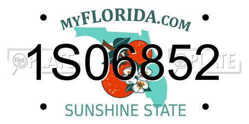 1S06852 Florida License Plate