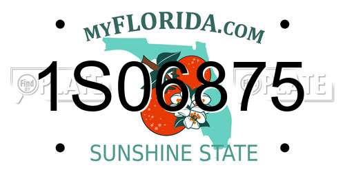 1S06875 Florida License Plate