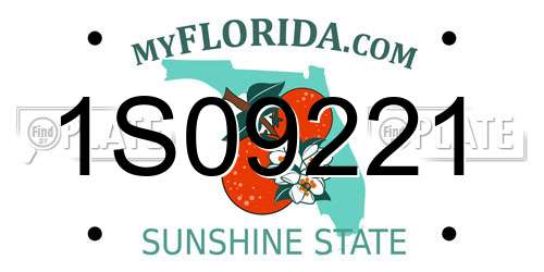 1S09221 Florida License Plate