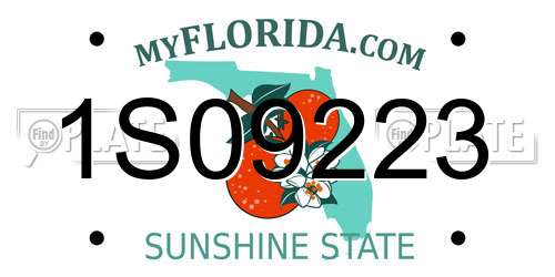 1S09223 Florida License Plate