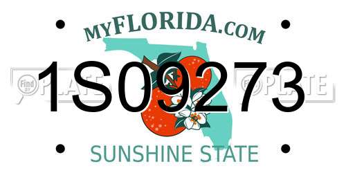 1S09273 Florida License Plate