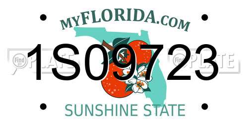 1S09723 Florida License Plate