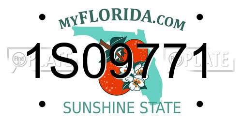 1S09771 Florida License Plate