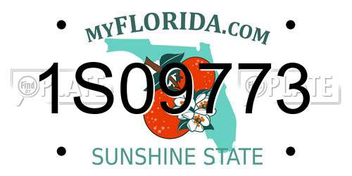 1S09773 Florida License Plate