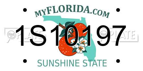 1S10197 Florida License Plate