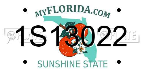 1S13022 Florida License Plate