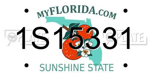 1S15331 Florida License Plate