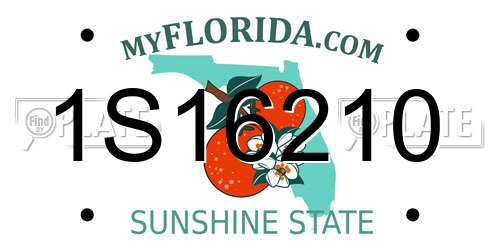 1S16210 Florida License Plate