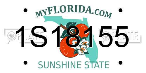1S18155 Florida License Plate
