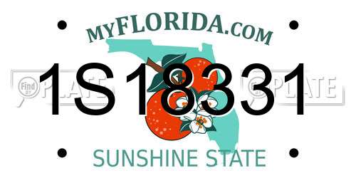 1S18331 Florida License Plate