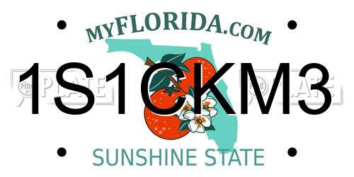 1S1CKM3 Florida License Plate