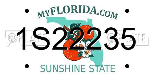 1S22235 Florida License Plate