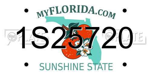 1S25720 Florida License Plate