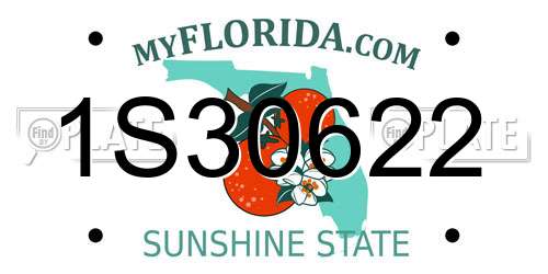 1S30622 Florida License Plate