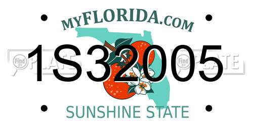 1S32005 Florida License Plate