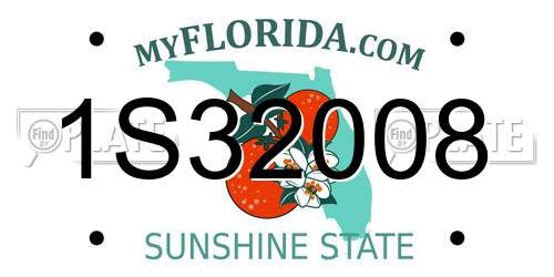 1S32008 Florida License Plate