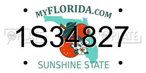 1S34827 Florida License Plate