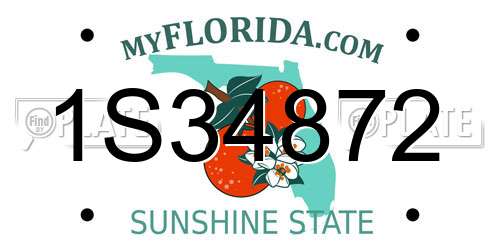 1S34872 Florida License Plate