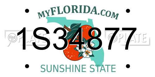 1S34877 Florida License Plate