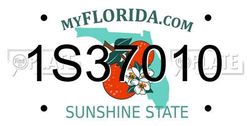1S37010 Florida License Plate
