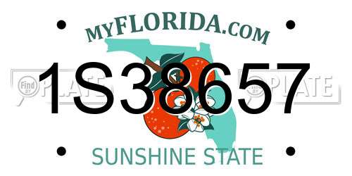 1S38657 Florida License Plate