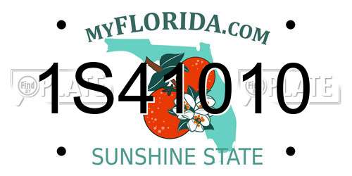 1S41010 Florida License Plate