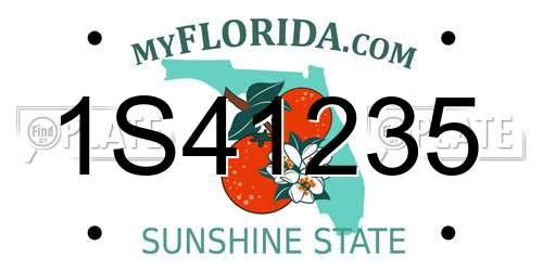 1S41235 Florida License Plate