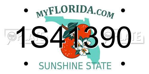 1S41390 Florida License Plate