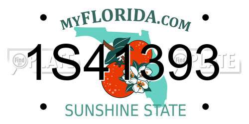 1S41393 Florida License Plate
