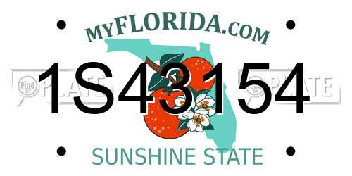 1S43154 Florida License Plate