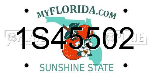 1S45502 Florida License Plate