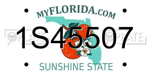 1S45507 Florida License Plate