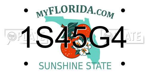 1S45G4 Florida License Plate