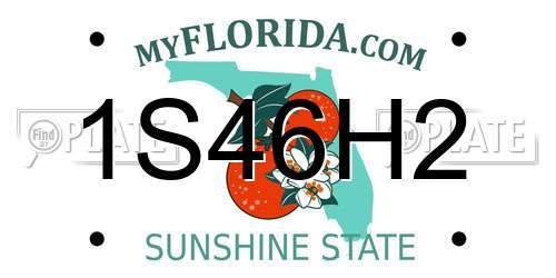 1S46H2 Florida License Plate
