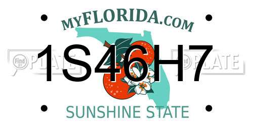 1S46H7 Florida License Plate