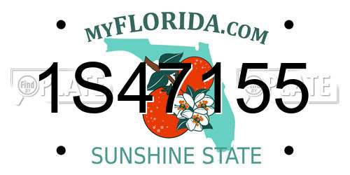1S47155 Florida License Plate
